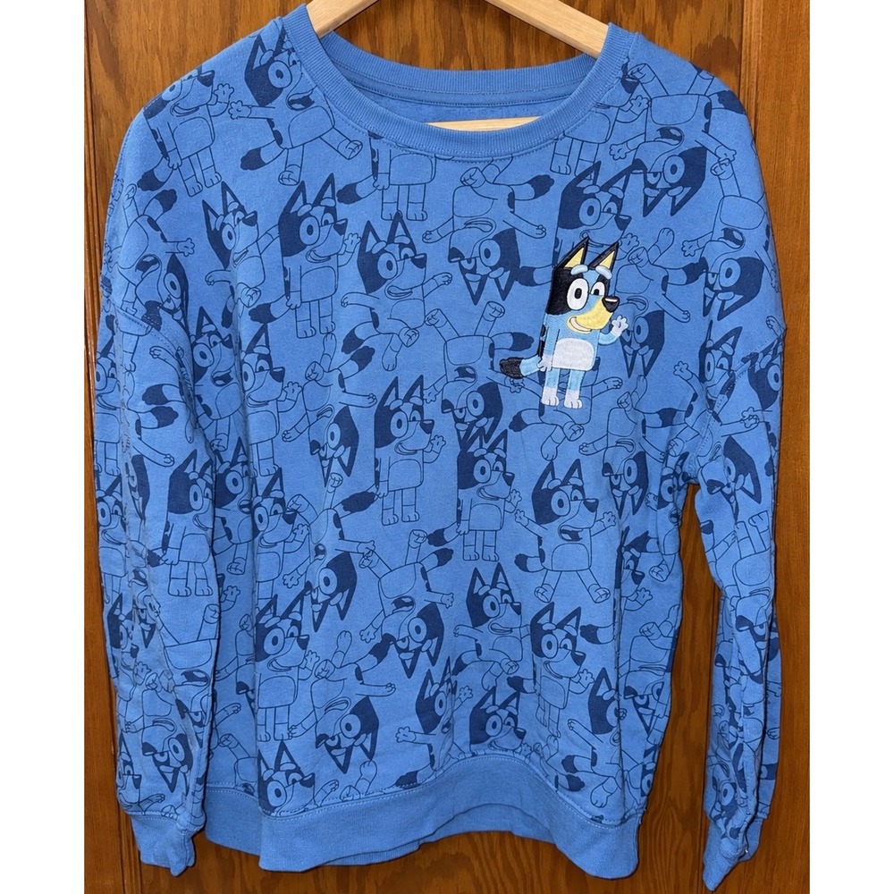 Bluey Hybrid Apparel All Over Print Sweatshirt Blue Embroidered Pullover Medium